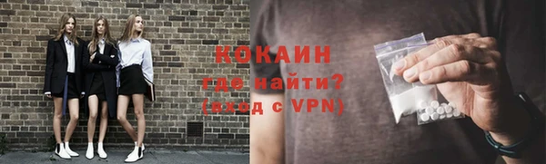 крисы Баксан
