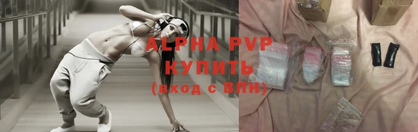 крисы Баксан
