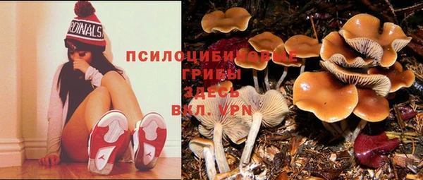 гидропоника Белоозёрский