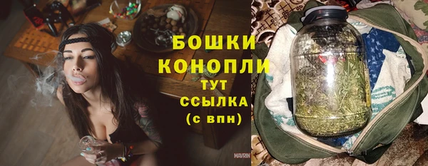 PSILOCYBIN Балахна