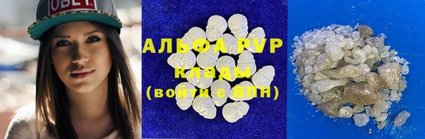 PSILOCYBIN Балахна