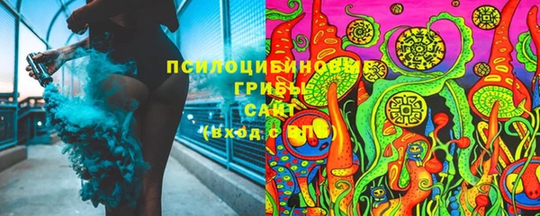 PSILOCYBIN Балахна