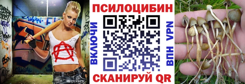 Псилоцибиновые грибы ЛСД  сколько стоит  OMG онион  Курлово 